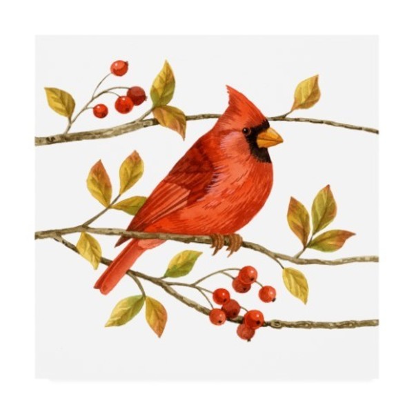 Trademark Fine Art Jane Maday 'Birds And Berries Iii' Canvas Art, 14x14 WAG13745-C1414GG